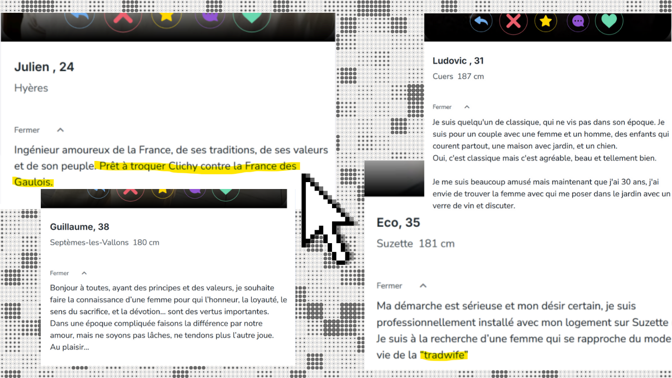 Ludovic, Julien, Guillaume et Eco font appel à l'histoire dans leurs profils Droite au Coeur. 
