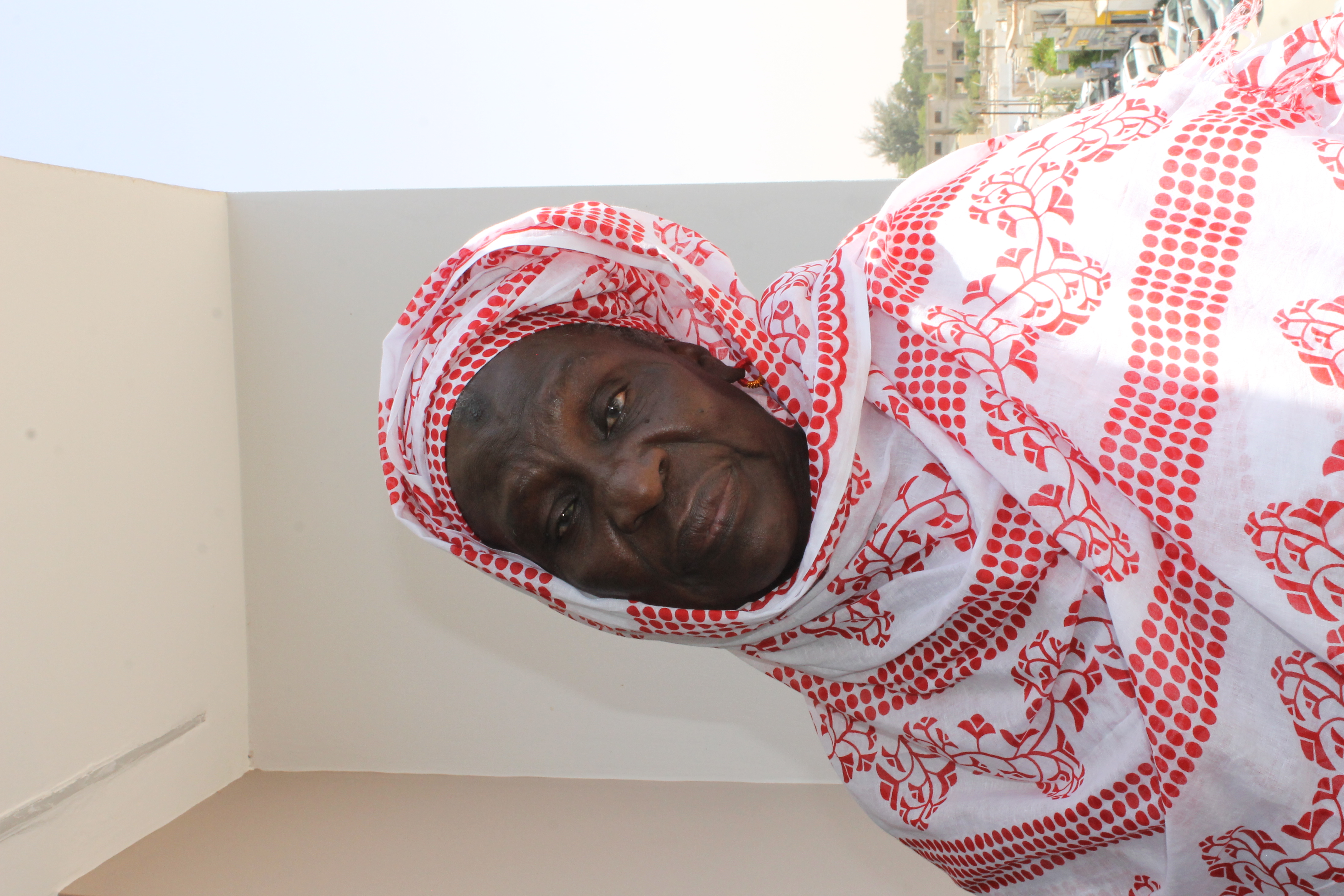 Portrait Fatimata Djibi Dia ( Photo - Laure Petit )
