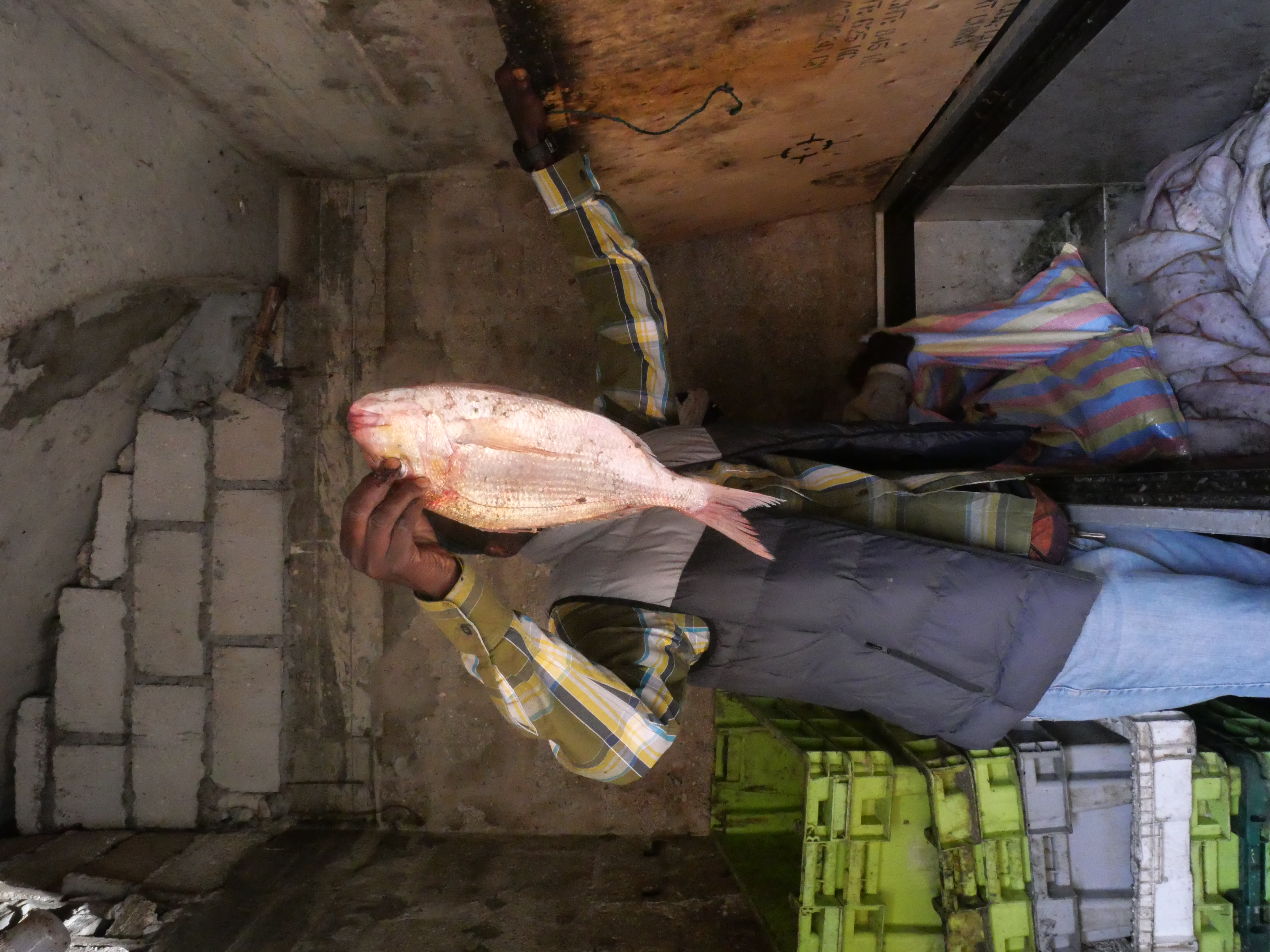 Ousmane, portrait anonyme d'un des doyens du port. 